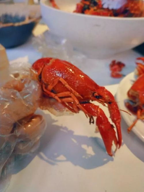 都說不是一頓飯那么簡單