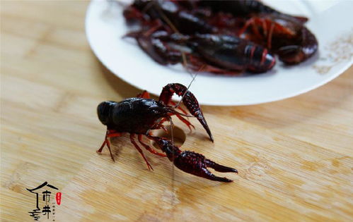 教你在家做麻辣小龍蝦,用這16種常見(jiàn)配料,吃完不再去大排檔