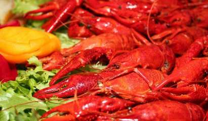 摩爾莊園麻辣小龍蝦 用產(chǎn)品與服務(wù)贏得美食消費者