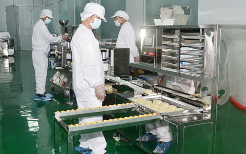 全球首個ai食品工廠落地 羅定市絲苗米產業園絲苗米初精深加工項目正式投產