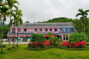 探索 造血式 扶貧新機制 石碧苗妹五色粽廠邁出發(fā)展新步伐